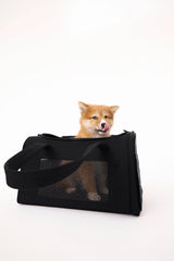 Resale The Pet Carrier in Black